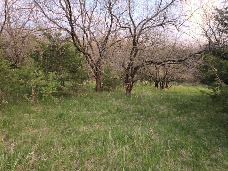 Listing photo 45